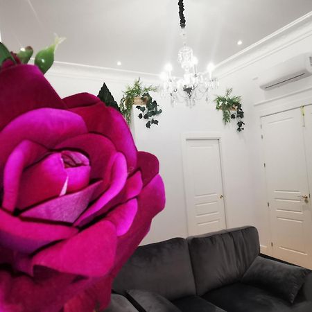 Rua Suites Boutique Salamanka Pokój zdjęcie